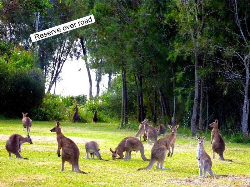 14B Wymeera Circuit, Wyee Point NSW 2259