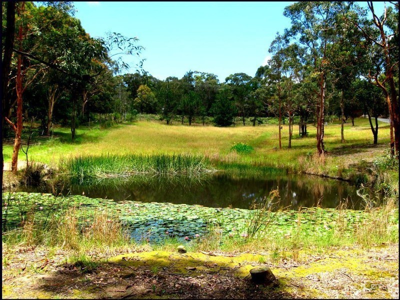 39 Ruttleys Road, Wyee NSW 2259