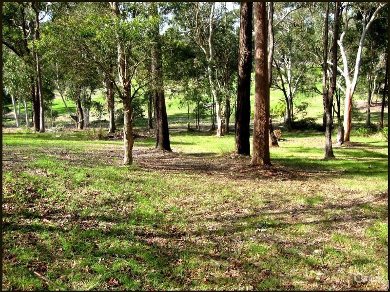 39 Ruttleys Road, Wyee NSW 2259