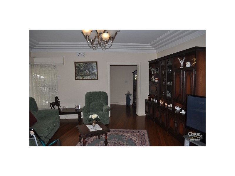 17 Maitland Road, Singleton NSW 2330