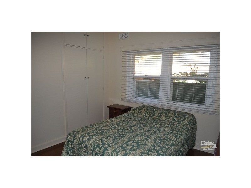 17 Maitland Road, Singleton NSW 2330