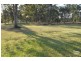 Singleton NSW 2330