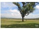 41 Trefolly Road, Wylies Flat NSW 2330