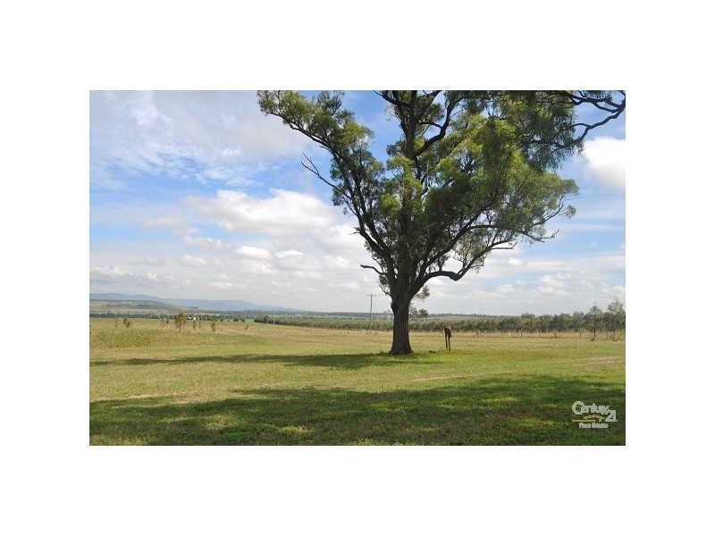 41 Trefolly Road, Wylies Flat NSW 2330