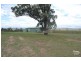 41 Trefolly Road, Wylies Flat NSW 2330