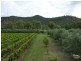 123 Milbrodale Road, Broke NSW 2330