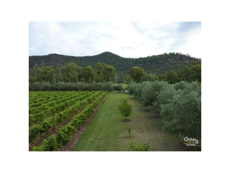 123 Milbrodale Road, Broke NSW 2330