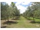 123 Milbrodale Road, Broke NSW 2330