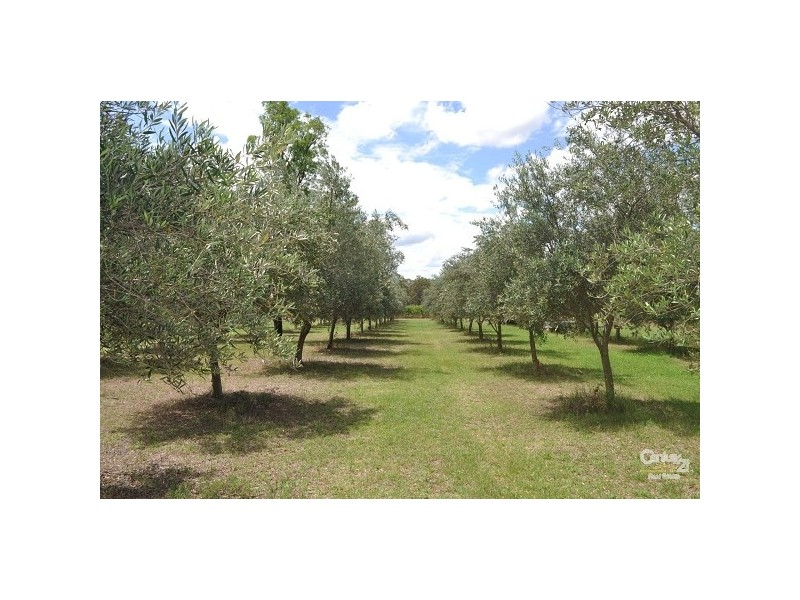 123 Milbrodale Road, Broke NSW 2330