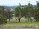 123 Milbrodale Road, Broke NSW 2330