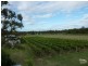 123 Milbrodale Road, Broke NSW 2330