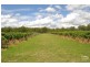 123 Milbrodale Road, Broke NSW 2330