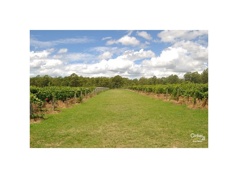 123 Milbrodale Road, Broke NSW 2330
