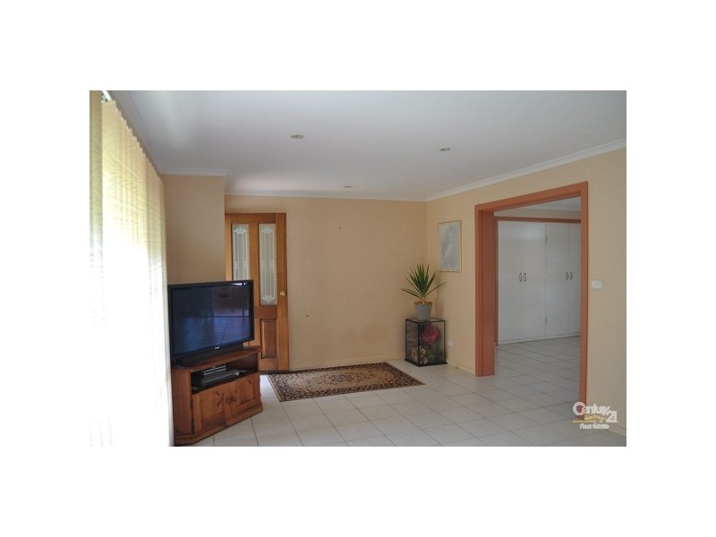 24 Wollombi Street, Broke NSW 2330