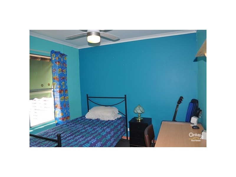 24 Wollombi Street, Broke NSW 2330