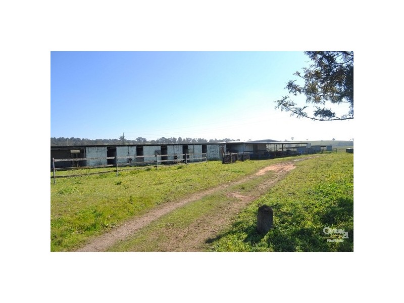 Lot 122 – 12 Standen Drive, Singleton NSW 2330