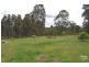 2 Lester Close, Singleton NSW 2330