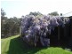 106 Nawaday Way, Singleton NSW 2330