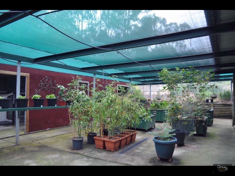 15 The Glade, Singleton NSW 2330