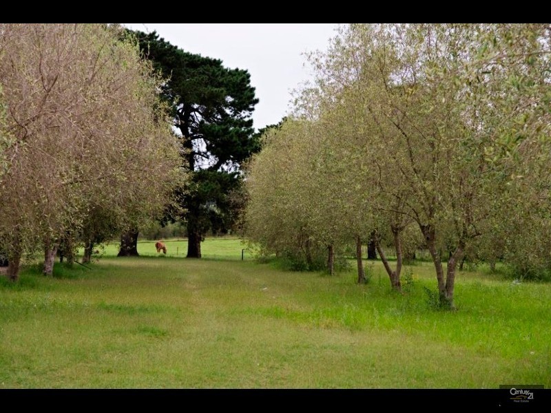 88 Hillsborough Road, Maitland NSW 2320