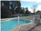 31 Cranston Avenue, Singleton NSW 2330