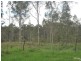 43 Thomas Street, North Rothbury NSW 2335