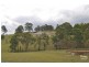 37 Aub Upward Close, Singleton NSW 2330