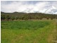 2641 Putty Road, Milbrodale NSW 2330