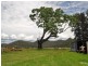 2641 Putty Road, Milbrodale NSW 2330