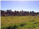 29 Magpie Street, Singleton NSW 2330