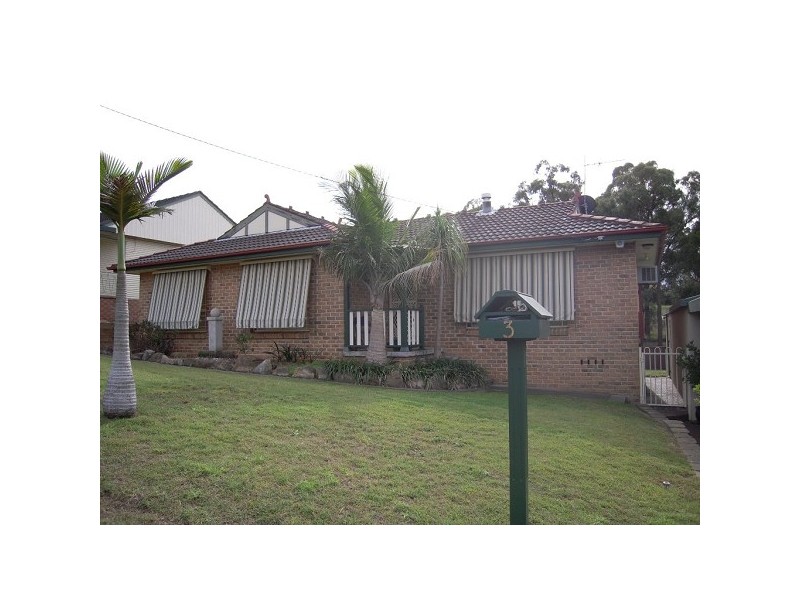 3 White Avenue, Singleton NSW 2330