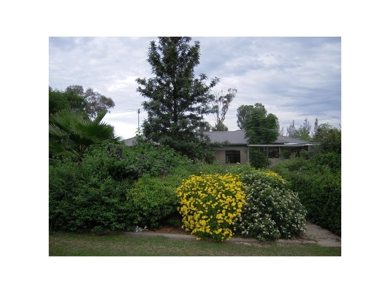 523 Mirannie Road, Singleton NSW 2330