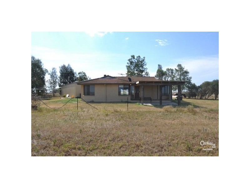 223 Hambledon Hill Road, Singleton NSW 2330