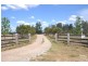 223 Hambledon Hill Road, Singleton NSW 2330