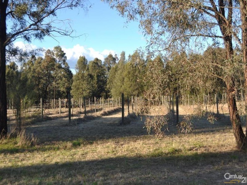 Lot 92 19 Turnbull Road, Bulga NSW 2330