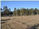 Lot 92 19 Turnbull Road, Bulga NSW 2330