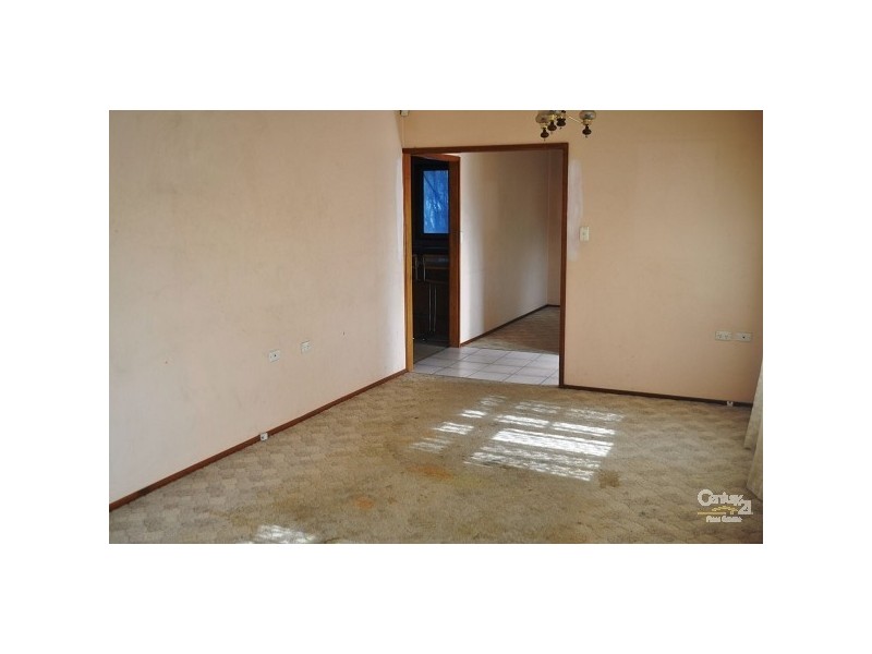 3 Greenwood Avenue, Singleton NSW 2330