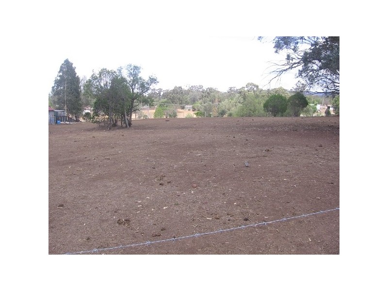 Jerrys Plains NSW 2330
