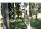Spring Grove NSW 2470