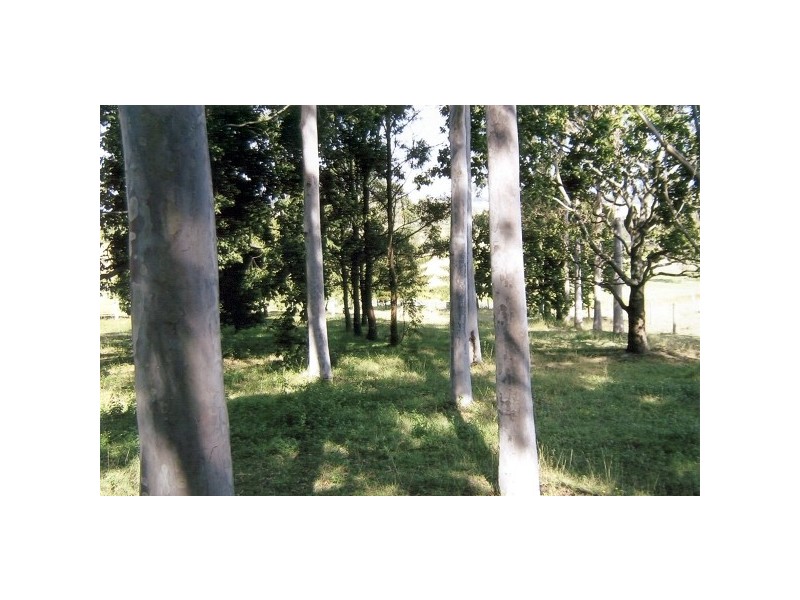 Spring Grove NSW 2470