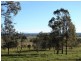 Spring Grove NSW 2470
