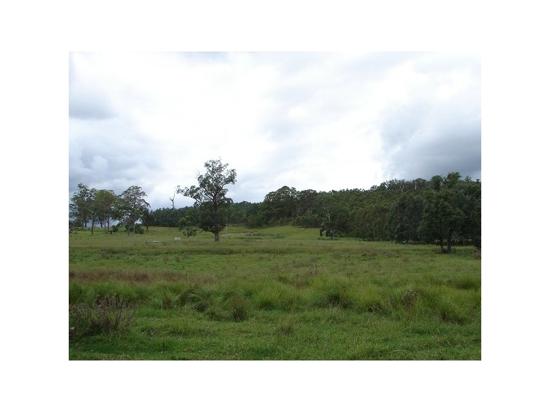 Lindesay Creek NSW 2476