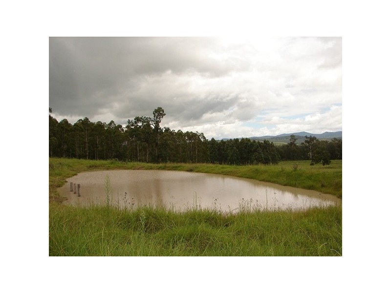 Lindesay Creek NSW 2476