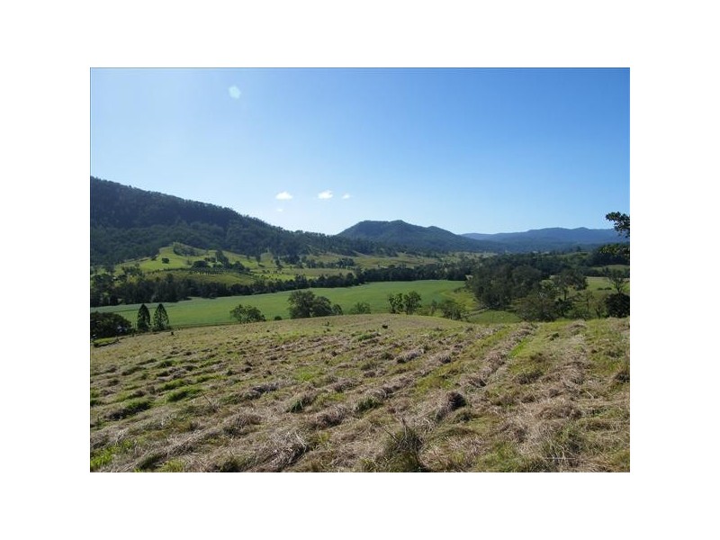 Collins Creek NSW 2474
