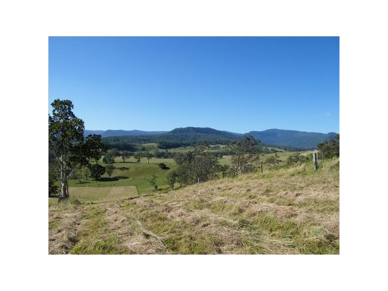 Collins Creek NSW 2474