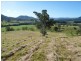 Collins Creek NSW 2474