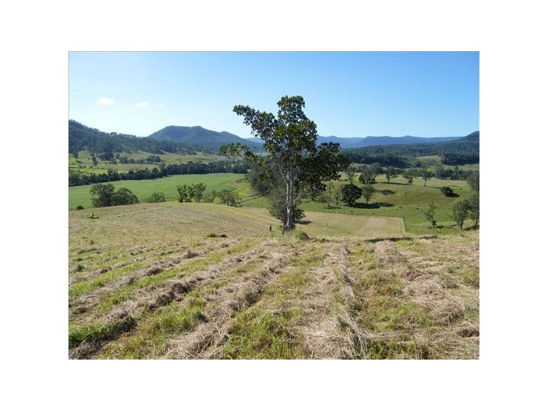 Collins Creek NSW 2474