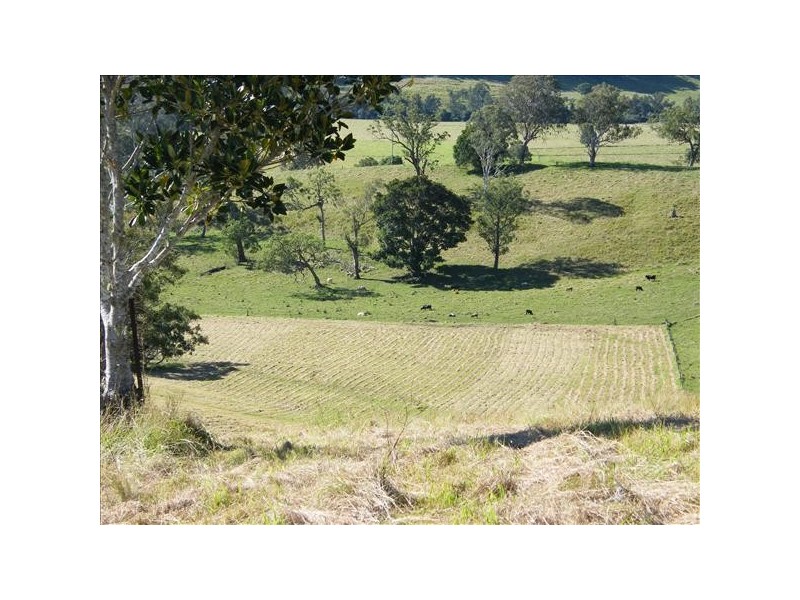 Collins Creek NSW 2474