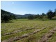 Collins Creek NSW 2474