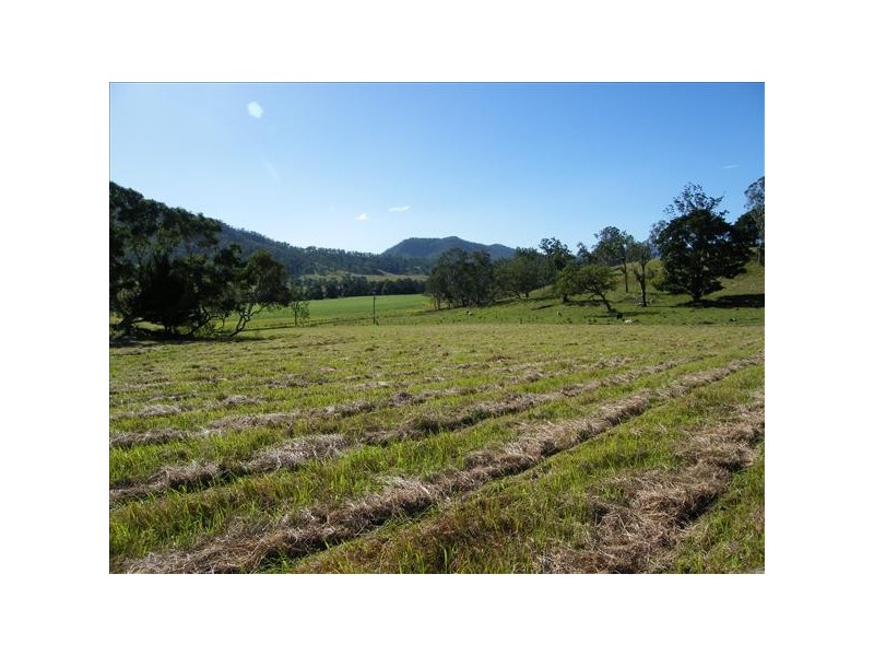 Collins Creek NSW 2474